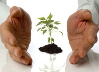 Льготы в приоритетных отраслях отечественной экономики будут способствовать активизации инвестиционной деятельности